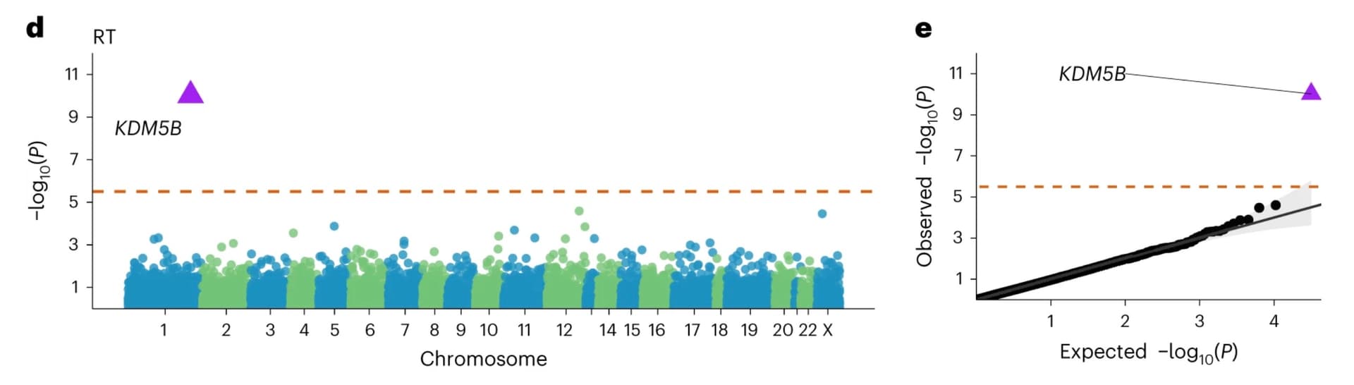 Association study of protein-truncating variants with reaction time